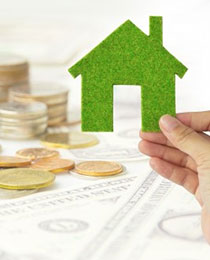Go Green And Save Money Go Green And Save Money